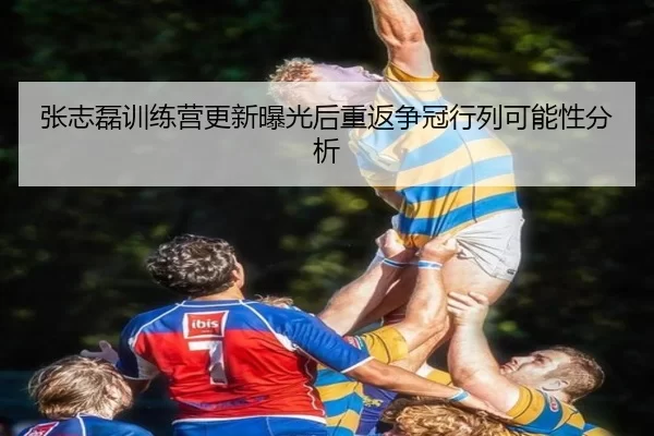 zhang-zhi-lei-xun-lian-ying-geng-xin-bao-guang-hou-chong-fan-zheng-guan-hang-lie-ke-neng-xing-fen-xi-2-919.jpg