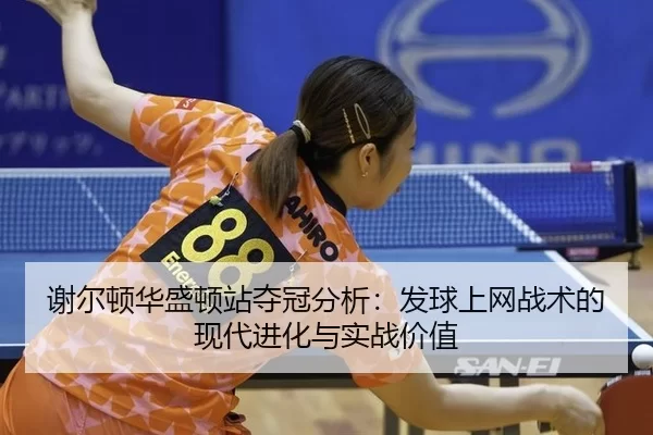 xie-er-dun-hua-sheng-dun-zhan-duo-guan-fen-xi-fa-qiu-shang-wang-zhan-shu-de-xian-dai-jin-hua-yu-shi-zhan-jia-zhi-2-723.jpg